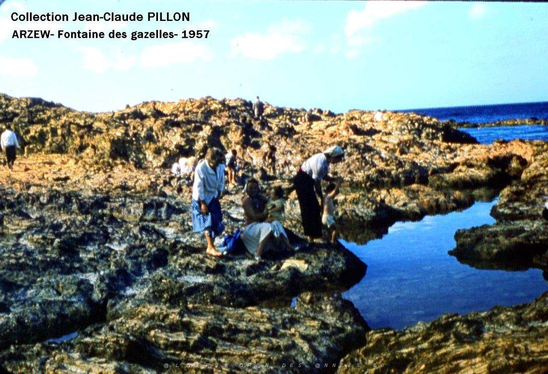Arzew 193- Pillon.jpg